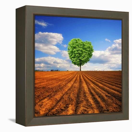 Tender Nature-Philippe Sainte-Laudy-Framed Premier Image Canvas