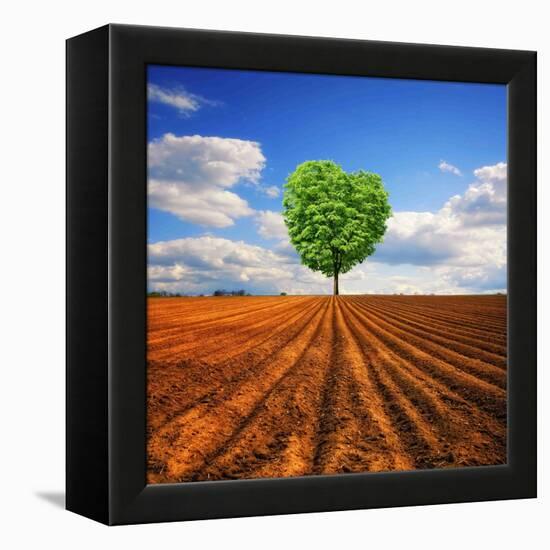 Tender Nature-Philippe Sainte-Laudy-Framed Premier Image Canvas