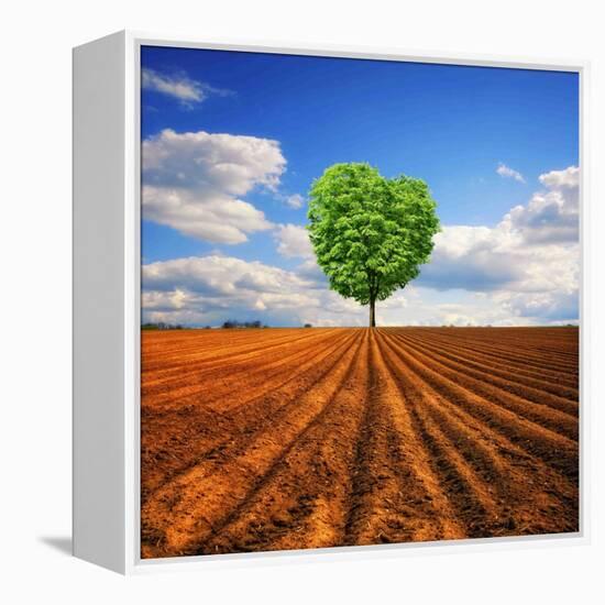 Tender Nature-Philippe Sainte-Laudy-Framed Premier Image Canvas