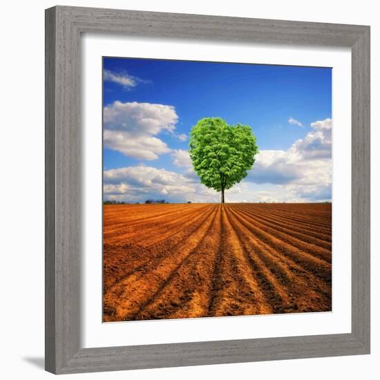 Tender Nature-Philippe Sainte-Laudy-Framed Photographic Print