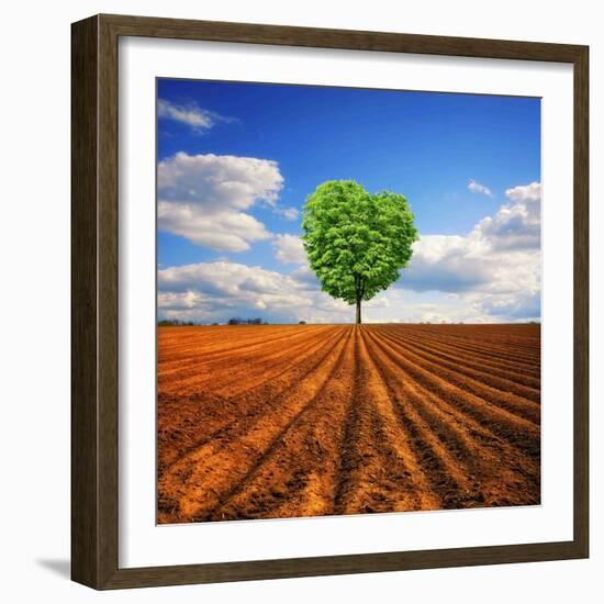 Tender Nature-Philippe Sainte-Laudy-Framed Photographic Print