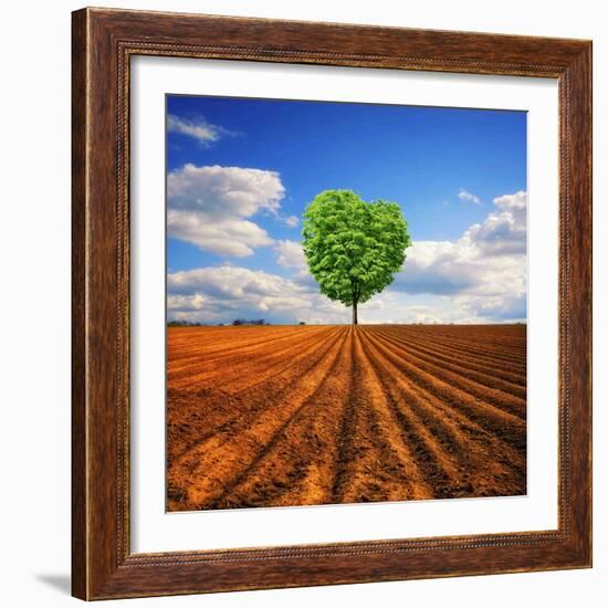 Tender Nature-Philippe Sainte-Laudy-Framed Photographic Print