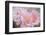 Tender roses-Viviane Fedieu Danielle-Framed Photographic Print