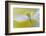 Tender-Heidi Westum-Framed Photographic Print