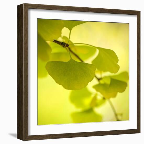 Tenderly Green-Philippe Sainte-Laudy-Framed Photographic Print