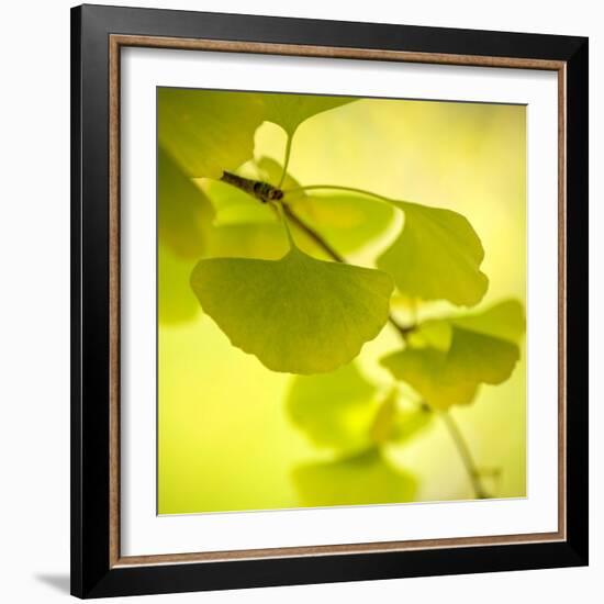 Tenderly Green-Philippe Sainte-Laudy-Framed Photographic Print