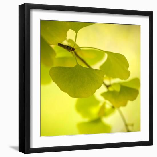 Tenderly Green-Philippe Sainte-Laudy-Framed Photographic Print