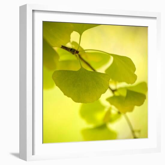 Tenderly Green-Philippe Sainte-Laudy-Framed Photographic Print