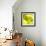 Tenderly Green-Philippe Sainte-Laudy-Framed Photographic Print displayed on a wall