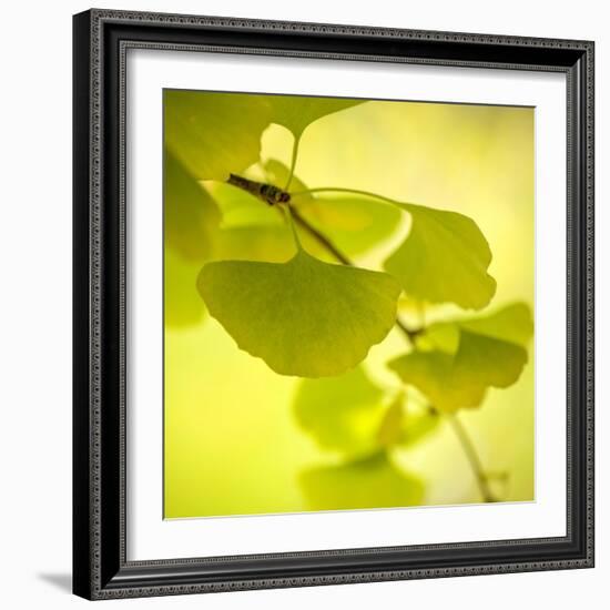 Tenderly Green-Philippe Sainte-Laudy-Framed Photographic Print