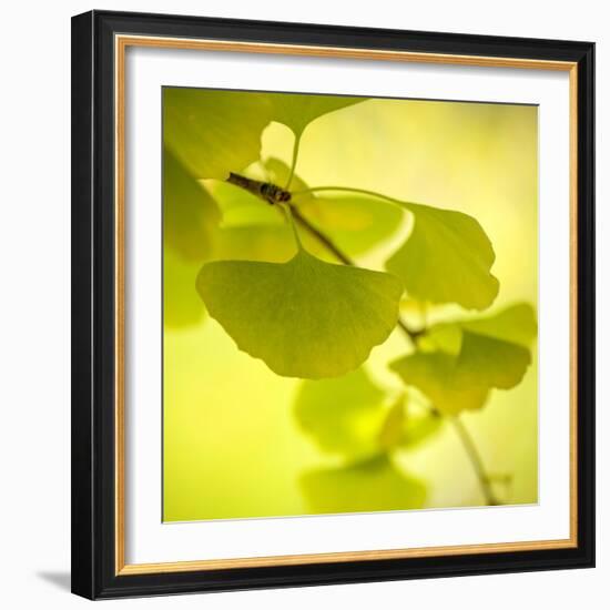 Tenderly Green-Philippe Sainte-Laudy-Framed Photographic Print