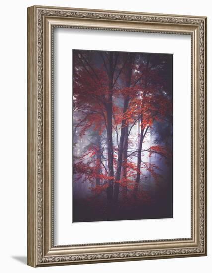 Tenderly-Philippe Sainte-Laudy-Framed Photographic Print