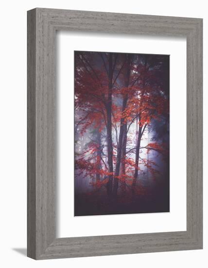 Tenderly-Philippe Sainte-Laudy-Framed Photographic Print