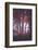 Tenderly-Philippe Sainte-Laudy-Framed Photographic Print