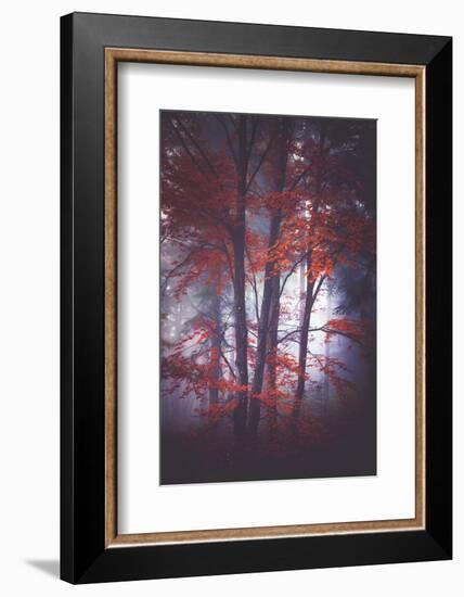 Tenderly-Philippe Sainte-Laudy-Framed Photographic Print