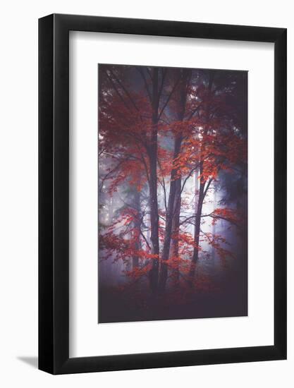 Tenderly-Philippe Sainte-Laudy-Framed Photographic Print