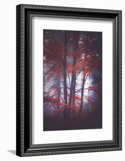 Tenderly-Philippe Sainte-Laudy-Framed Photographic Print