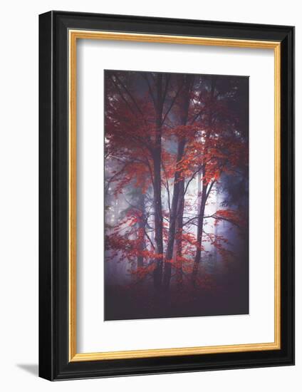 Tenderly-Philippe Sainte-Laudy-Framed Photographic Print