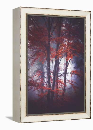 Tenderly-Philippe Sainte-Laudy-Framed Premier Image Canvas