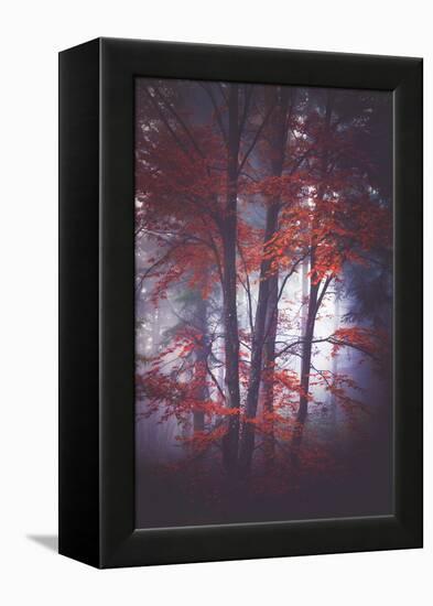 Tenderly-Philippe Sainte-Laudy-Framed Premier Image Canvas