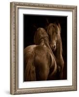 Tenderness I-Tony Stromberg-Framed Photographic Print