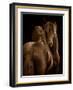 Tenderness I-Tony Stromberg-Framed Photographic Print