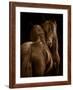Tenderness I-Tony Stromberg-Framed Photographic Print