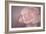 Tenderness-Cora Niele-Framed Photographic Print