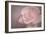 Tenderness-Cora Niele-Framed Photographic Print