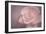 Tenderness-Cora Niele-Framed Photographic Print