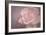 Tenderness-Cora Niele-Framed Photographic Print