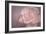 Tenderness-Cora Niele-Framed Photographic Print