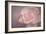 Tenderness-Cora Niele-Framed Photographic Print