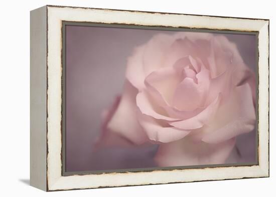 Tenderness-Cora Niele-Framed Premier Image Canvas