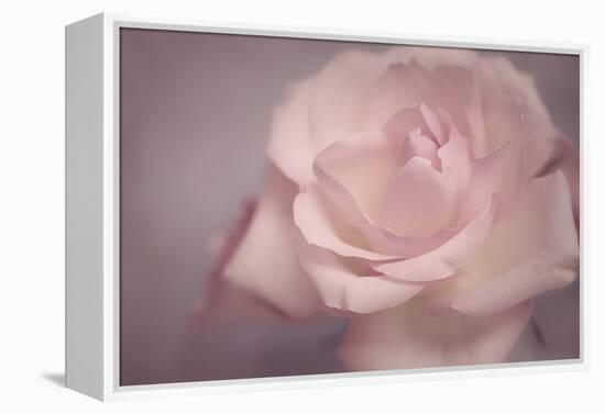 Tenderness-Cora Niele-Framed Premier Image Canvas