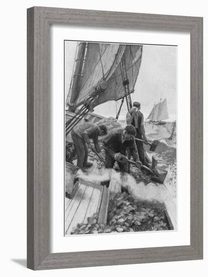 Tending Oyster Beds-null-Framed Art Print