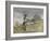 Tending Sheep, Houghton Farm-Winslow Homer-Framed Giclee Print