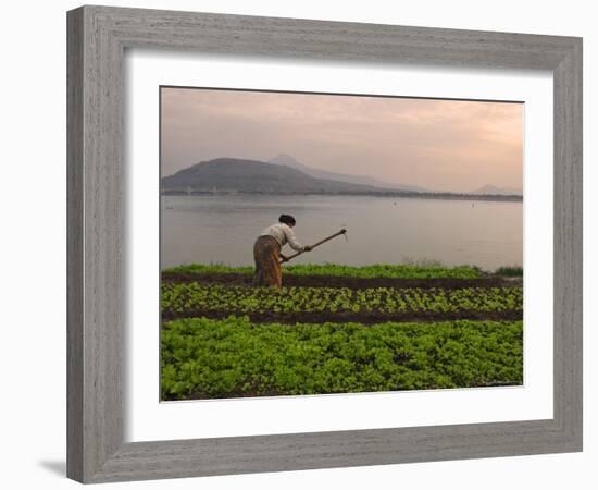 Tending the Crops on the Banks of the Mekong River, Pakse, Southern Laos, Indochina-Andrew Mcconnell-Framed Photographic Print