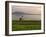 Tending the Crops on the Banks of the Mekong River, Pakse, Southern Laos, Indochina-Andrew Mcconnell-Framed Photographic Print