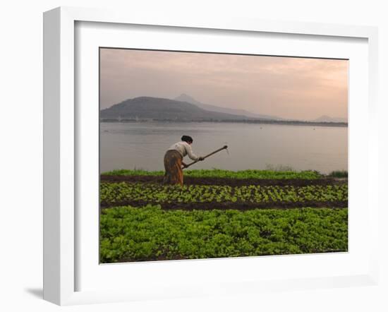 Tending the Crops on the Banks of the Mekong River, Pakse, Southern Laos, Indochina-Andrew Mcconnell-Framed Photographic Print