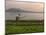 Tending the Crops on the Banks of the Mekong River, Pakse, Southern Laos, Indochina-Andrew Mcconnell-Mounted Photographic Print