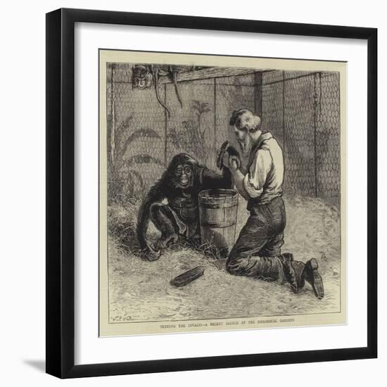 Tending the Invalid, a Recent Sketch at the Zoological Gardens-Samuel Edmund Waller-Framed Giclee Print