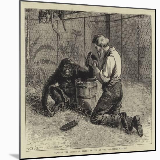 Tending the Invalid, a Recent Sketch at the Zoological Gardens-Samuel Edmund Waller-Mounted Giclee Print