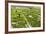 Tending the Rice Paddies, Shan State, Myanmar (Burma), Asia-Colin Brynn-Framed Photographic Print