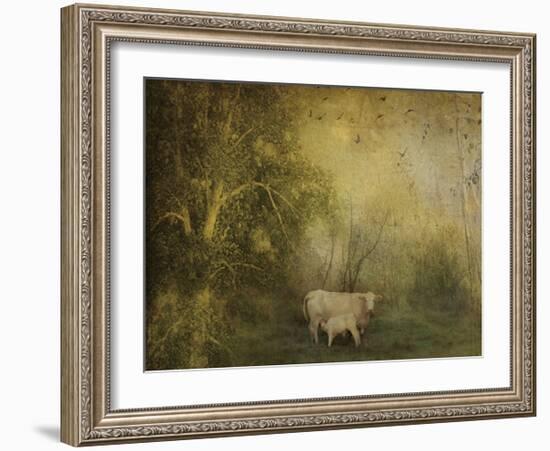 Tendre Charolais-Dawne Polis-Framed Art Print