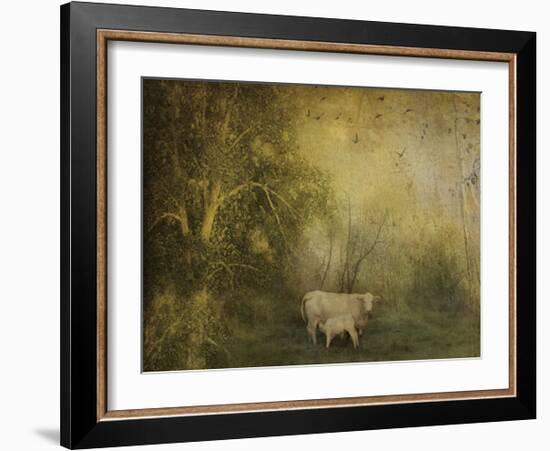 Tendre Charolais-Dawne Polis-Framed Art Print