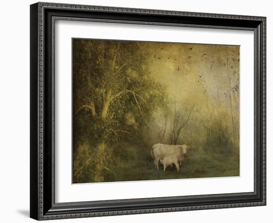 Tendre Charolais-Dawne Polis-Framed Art Print