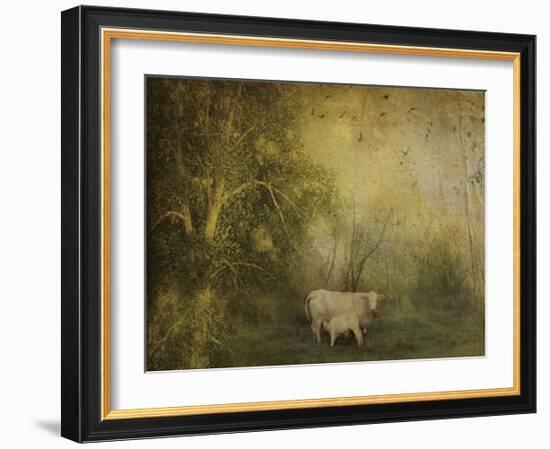 Tendre Charolais-Dawne Polis-Framed Art Print