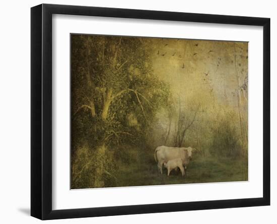 Tendre Charolais-Dawne Polis-Framed Art Print