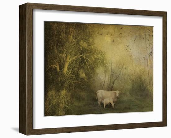 Tendre Charolais-Dawne Polis-Framed Art Print